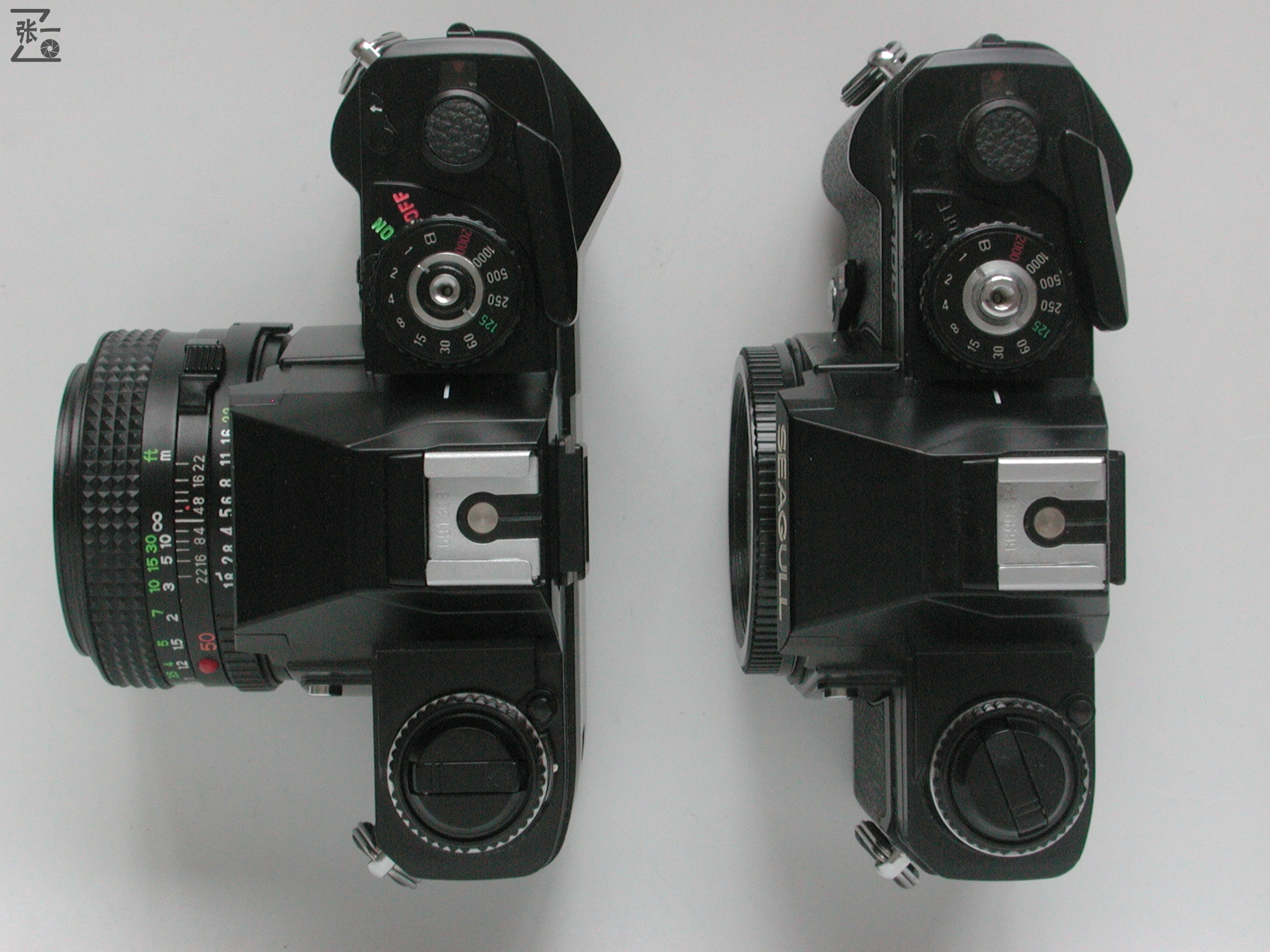 海鸥df2评测(海鸥df2什么卡口)_友友