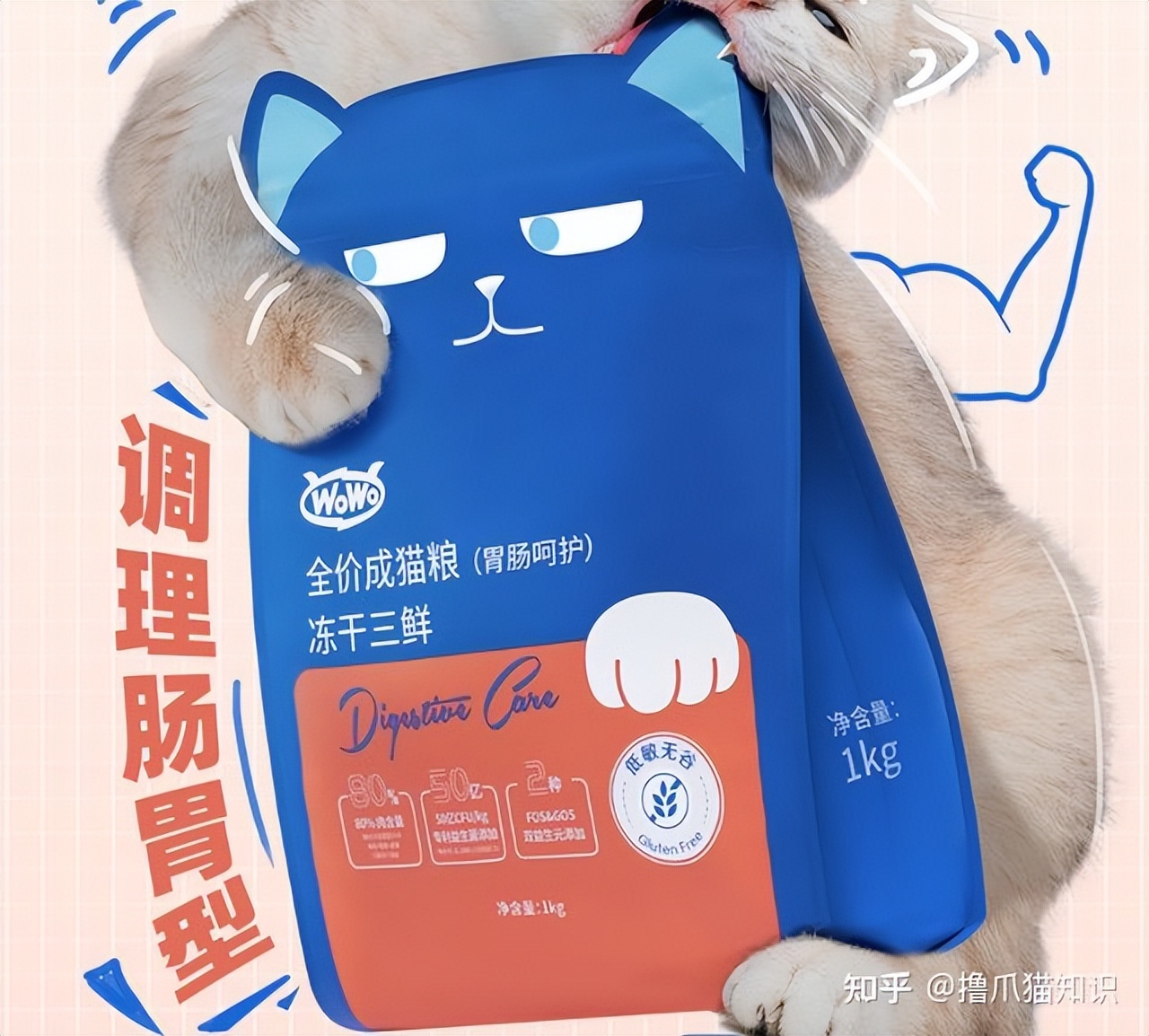 欧冠和卫仕猫粮哪个好(2022年618有哪些值得入的猫粮推荐？高性价比猫粮、猫粮排行榜)