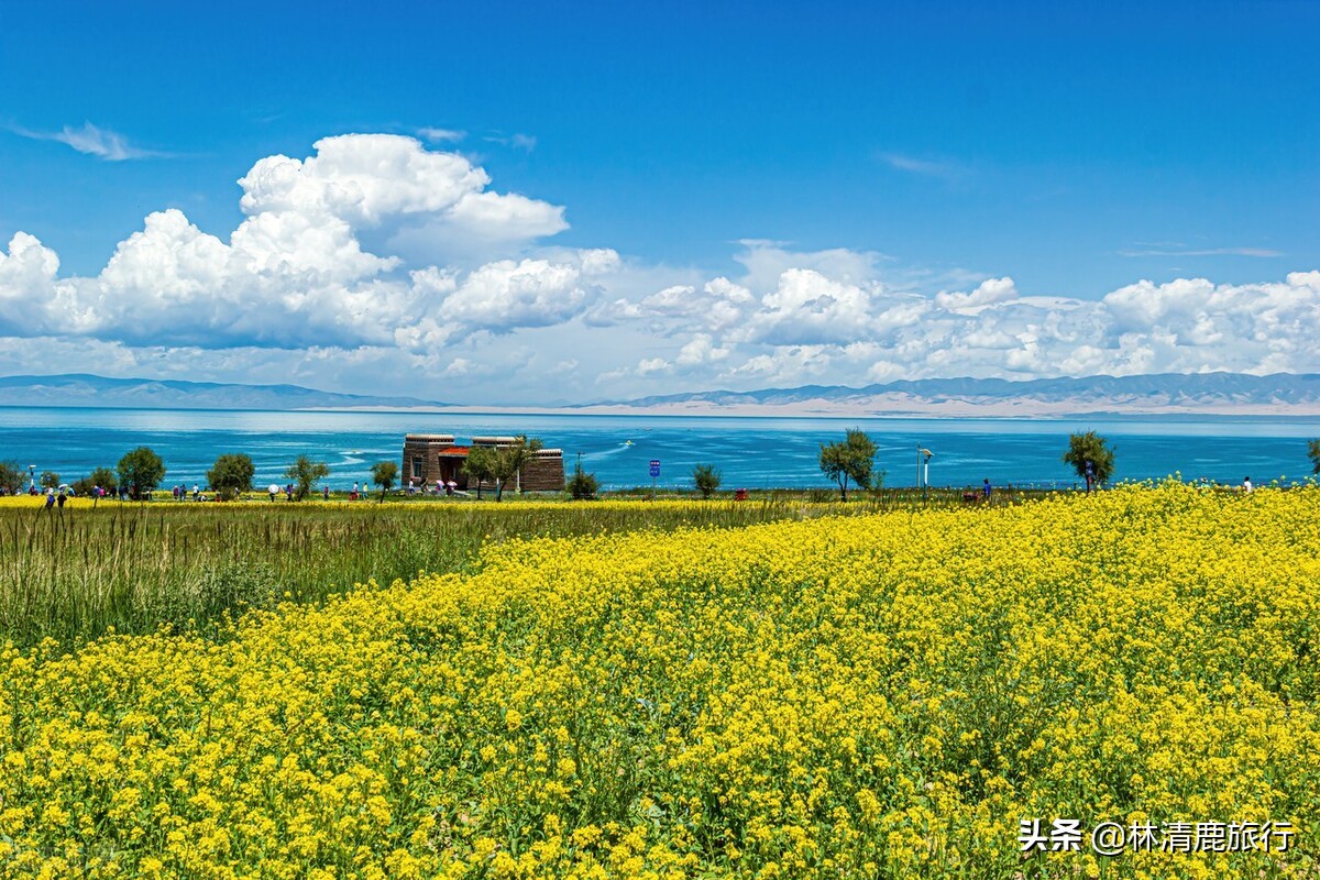 人间至美，中国西北！一个把山河演绎到极致的地方