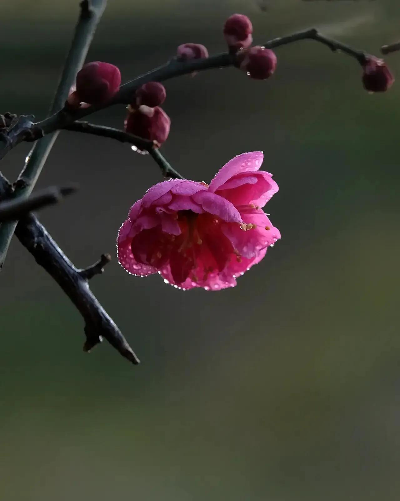 烟火岁月，心不动念，便是清欢