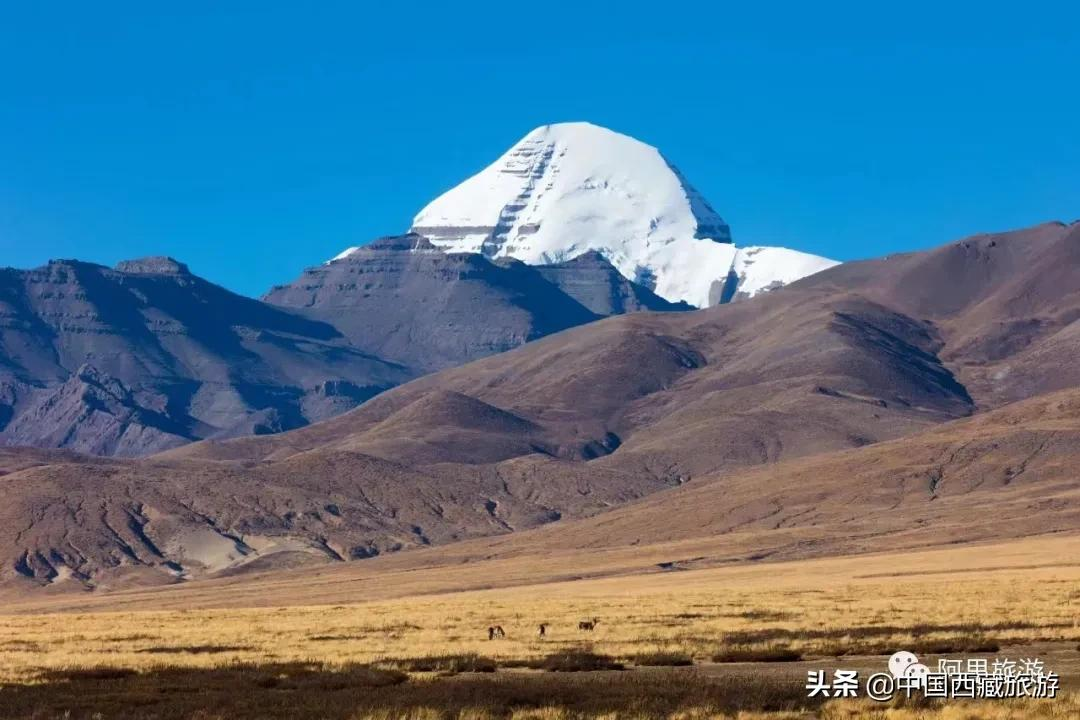 等一个人，陪我去阿里！