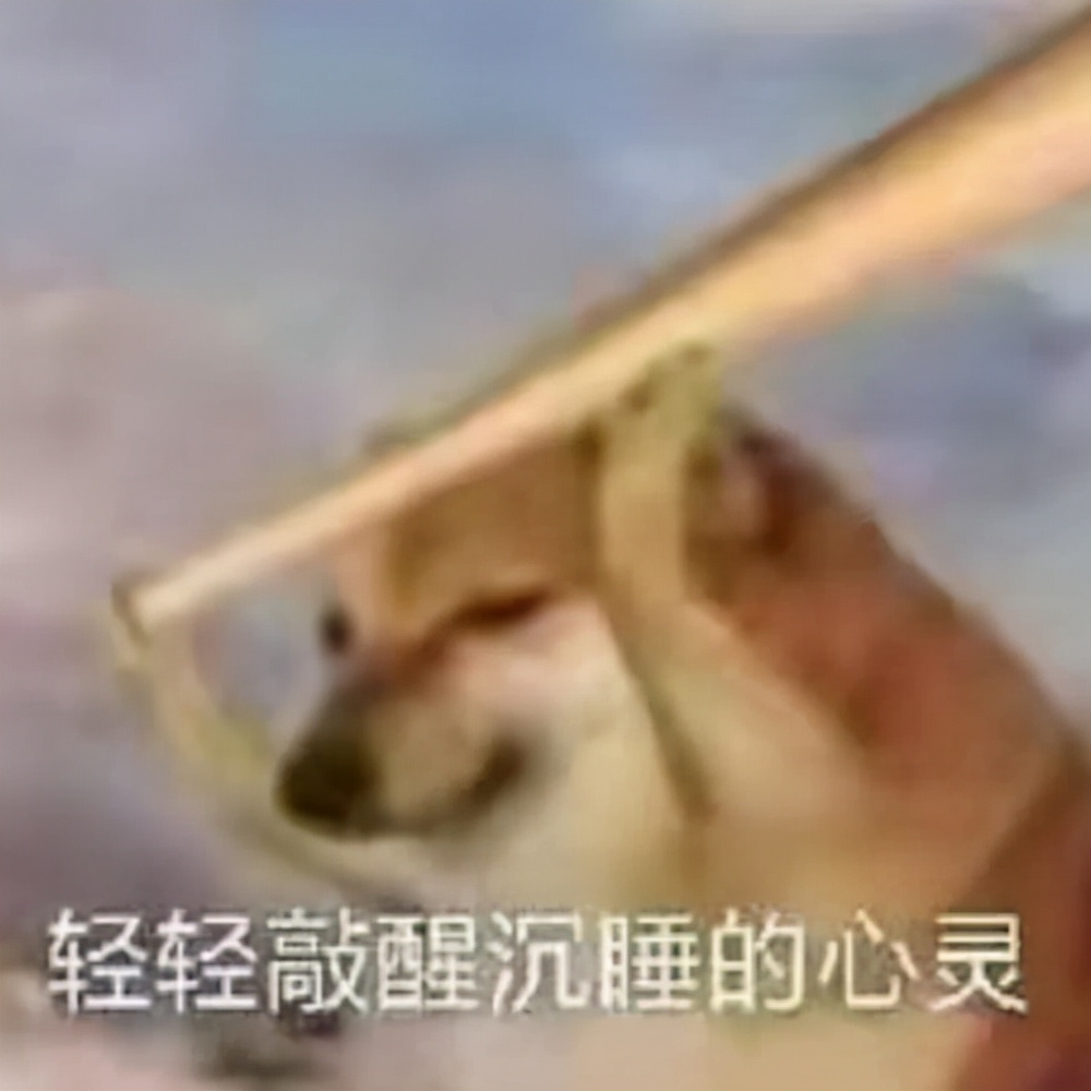 doge在聊天中什么意思(你的群聊“可以色色”吗？)