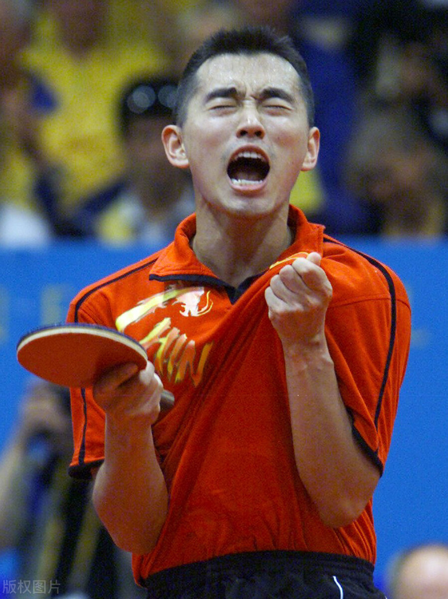 奥运会乒乓运动员有哪些(樊振东是国乒第12个拿到世乒赛男单冠军的人，看看前11位是谁)