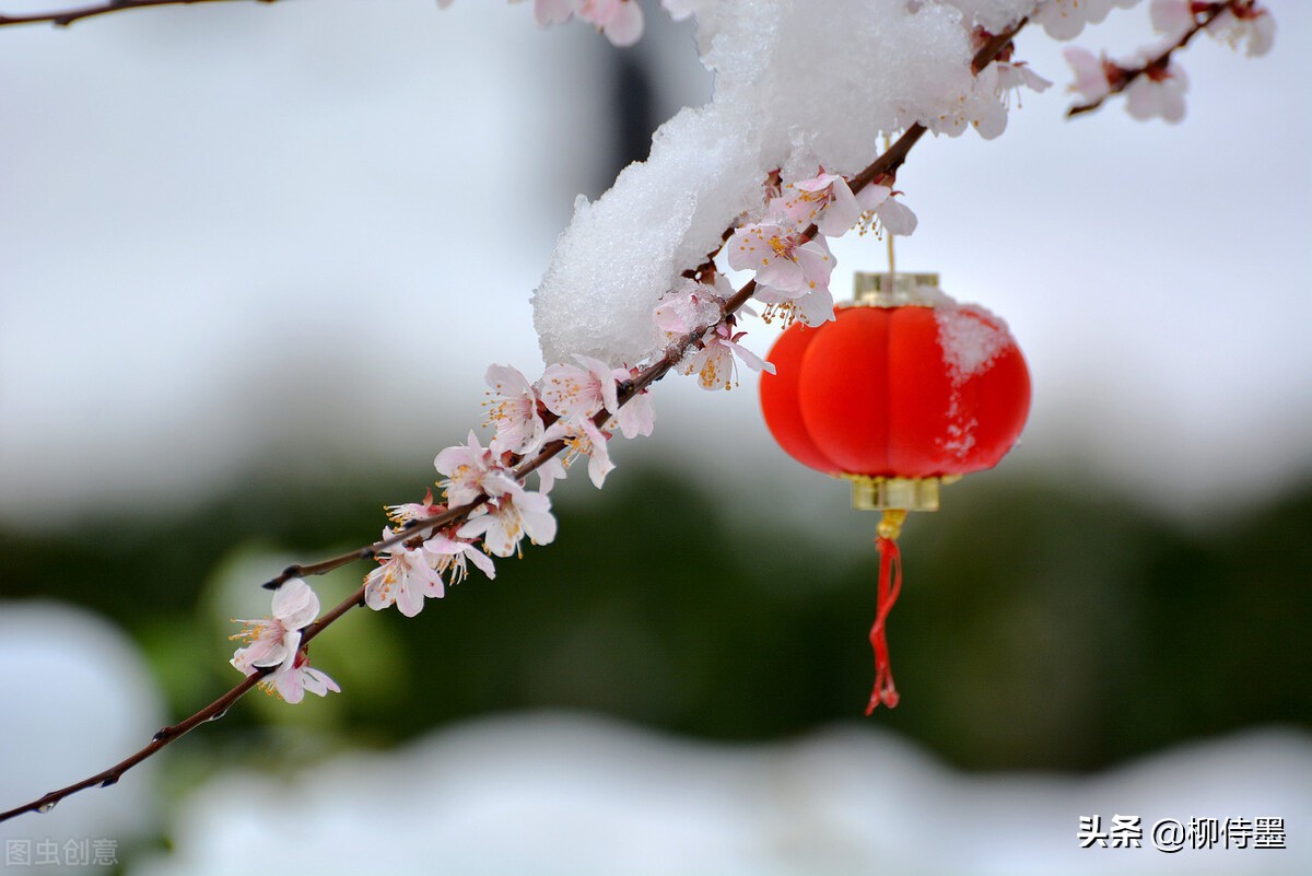 迎接2022年的第一场雪，学习3个摄影技巧，把雪景照片拍得更漂亮