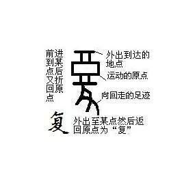 复是什么结构的字（复是什么结构的字部首）-第2张图片-华展网