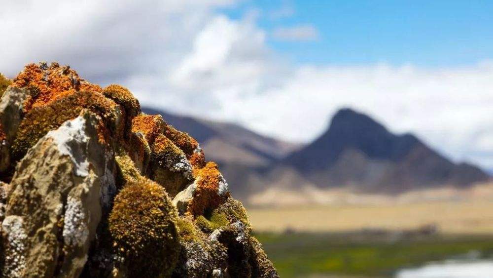 95귢ֵظԭص׿ռ䡱ﵽʲô3̨ʡ