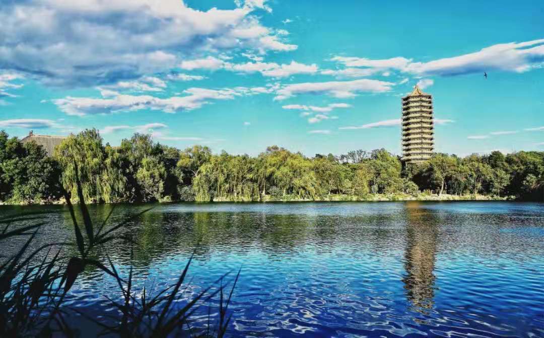 全国新增7所双一流高校，广东成“大赢家”，浙江很无奈