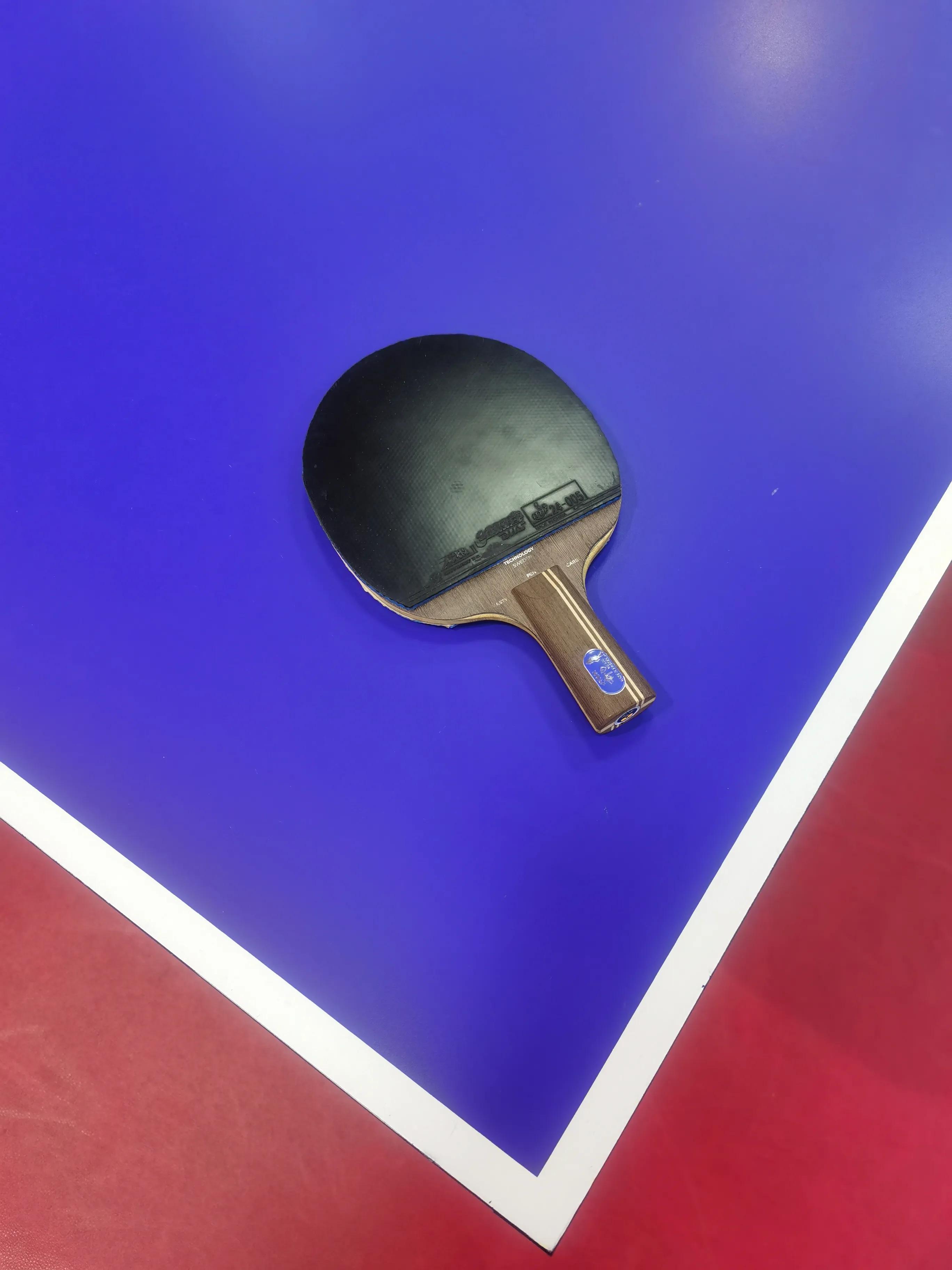 许昕蓝标底板多少钱(斯蒂卡许昕蓝标)