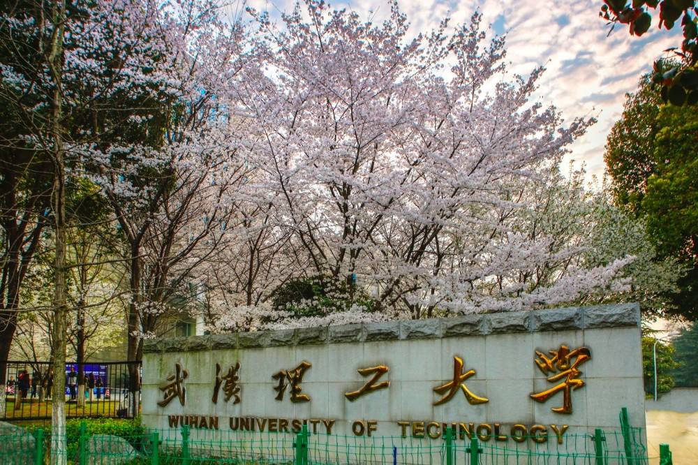 南京理工大学、华东理工大学、武汉理工大学：都有哪些不错的专业