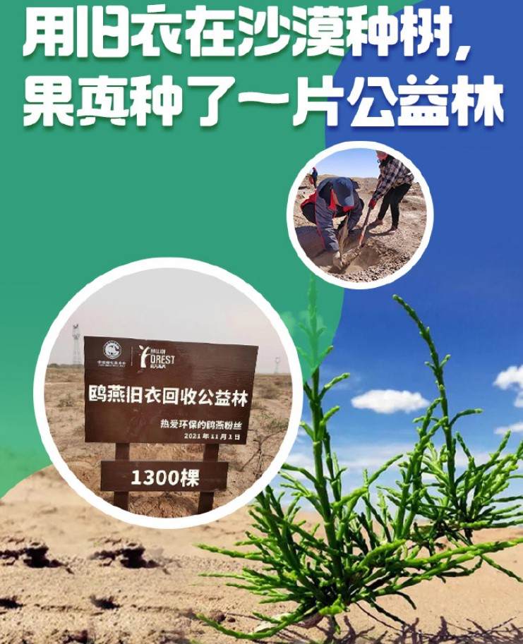 旧衣回收“伪公益”泛滥，我们该如何正确处理旧衣服？