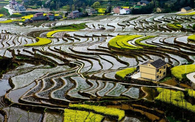 陕西安康旅游景点（陕西安康旅游景点翠屏岛）-第7张图片-昕阳网