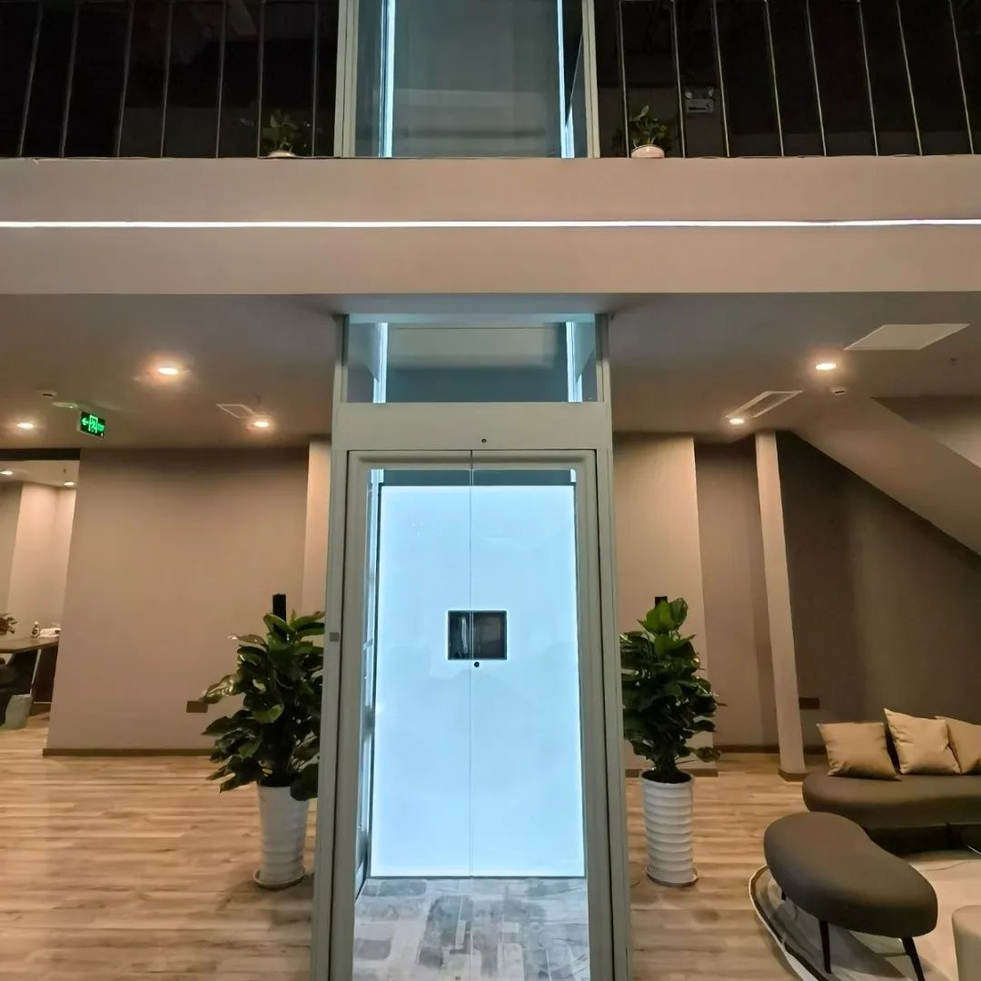 上峙螺杆家用别墅电梯