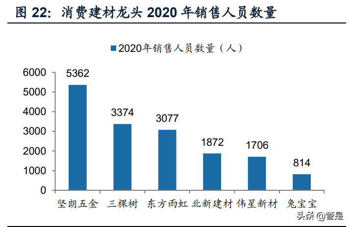 装饰板材行业之兔宝宝研究报告：厚积薄发，快速奔跑