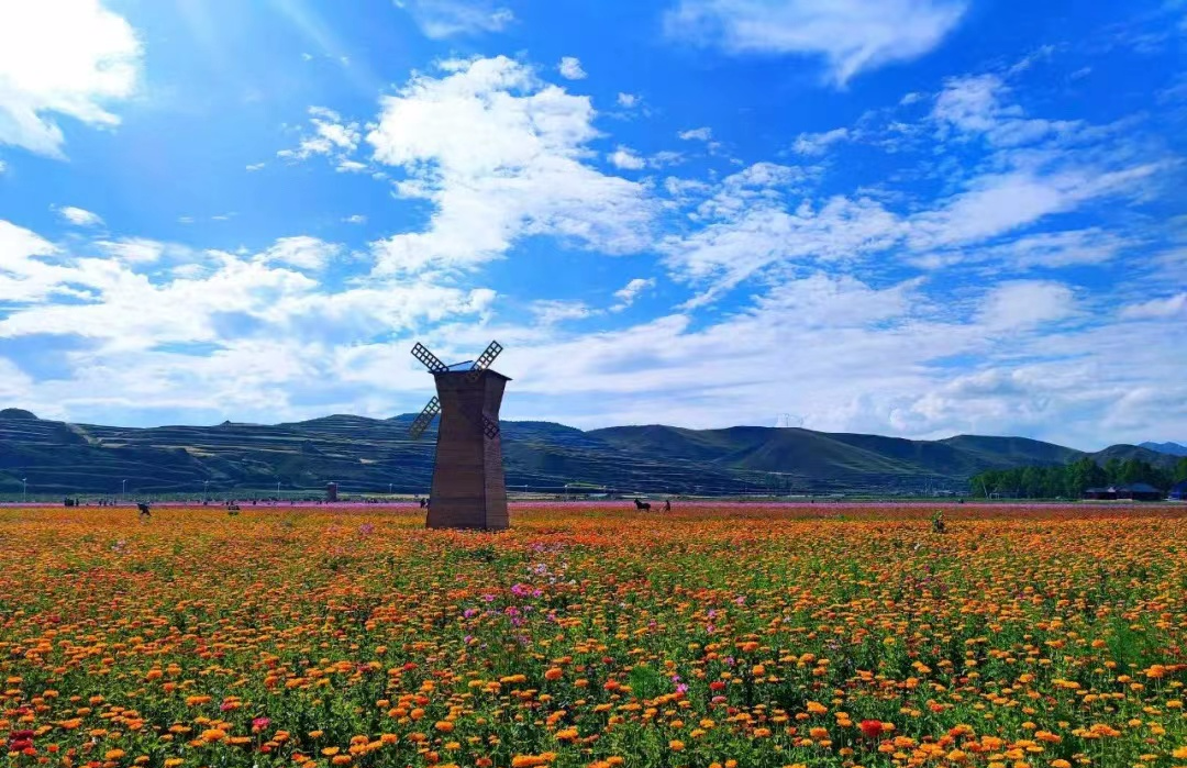 5·19中国旅游日 | 在这个夏天，让我们一起遇见临潭