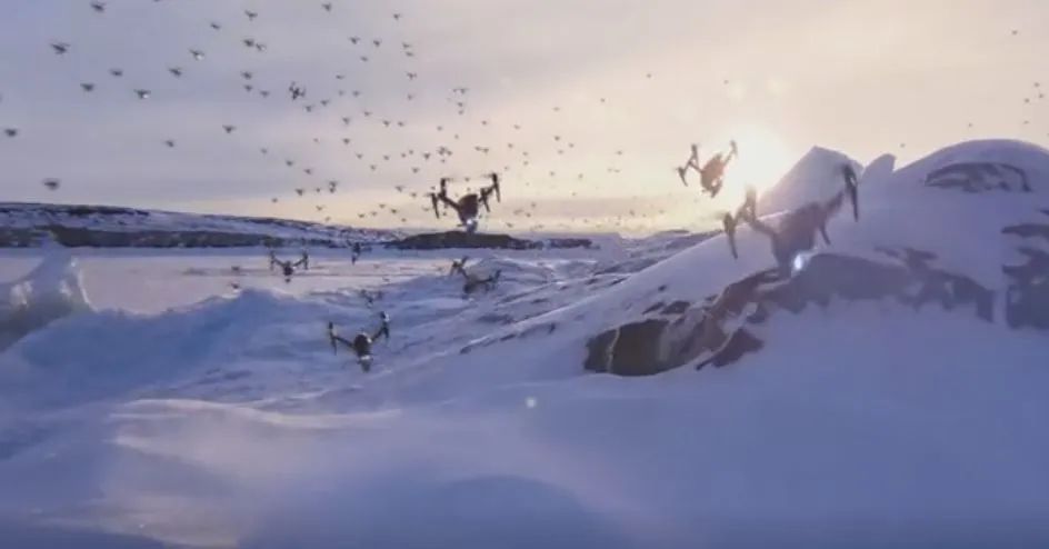 2021世界杯酒吧活动策划（携手总台，青岛啤酒、百威啤酒将世界杯体育营销玩出新花样）