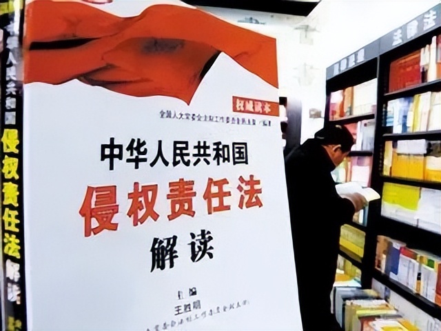 2017年湖南男子车被盗，小偷竟将车主告上法庭，无理诉求令人愤慨