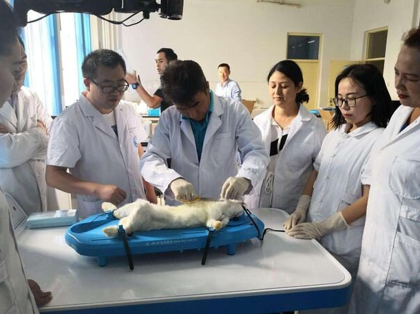 2022年高考款款走来，四类考生可“降分录取”，最多可降低148分