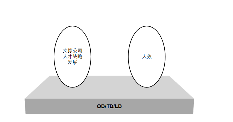 组织管理之——OD/TD/LD是什么？