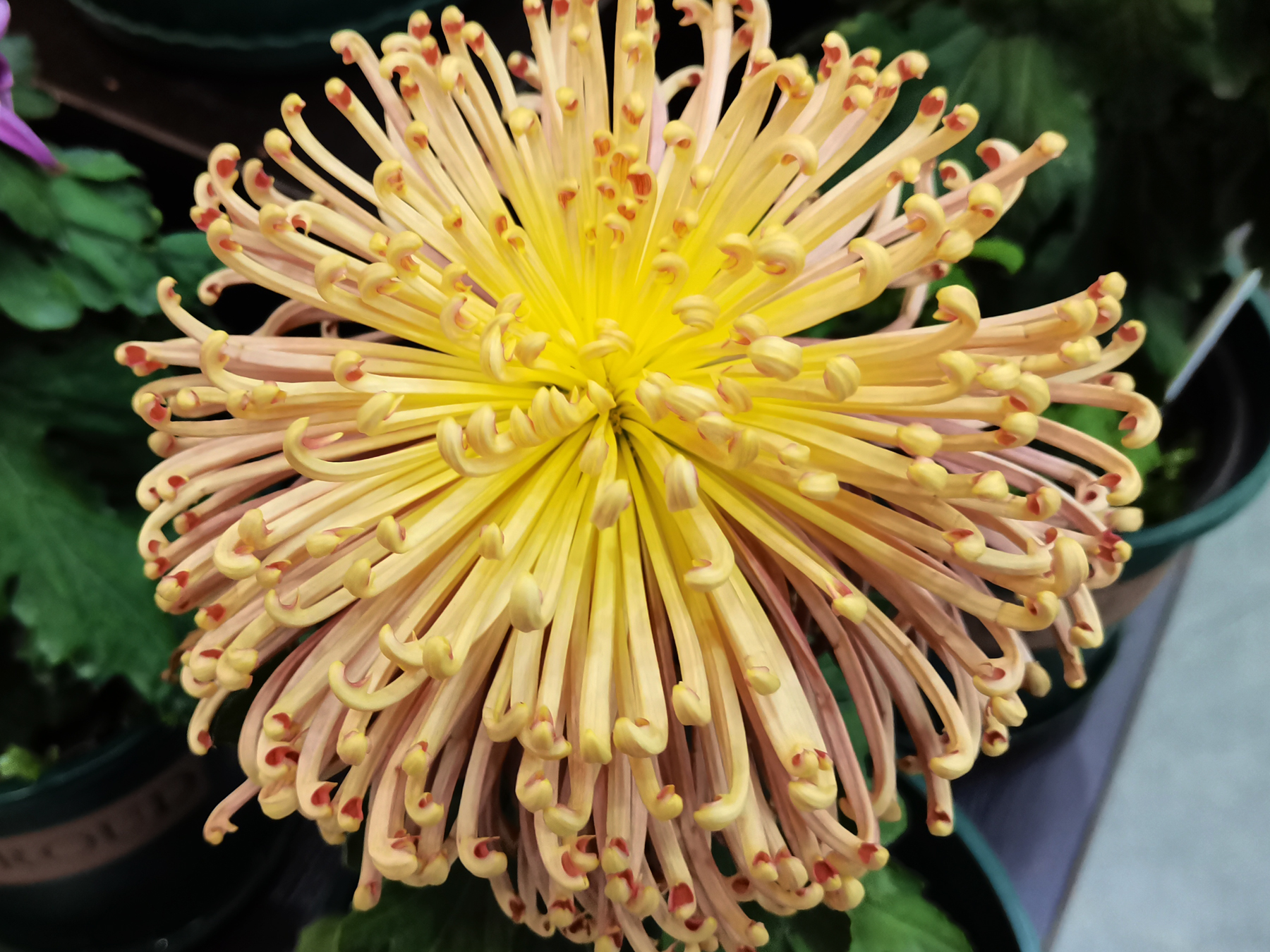 (zen)ɵҪ(wu)Ըص㣨(shi)ɵҪ(ren)ＰԸص¼-(di)11ͼƬ-Ʒ(wang)