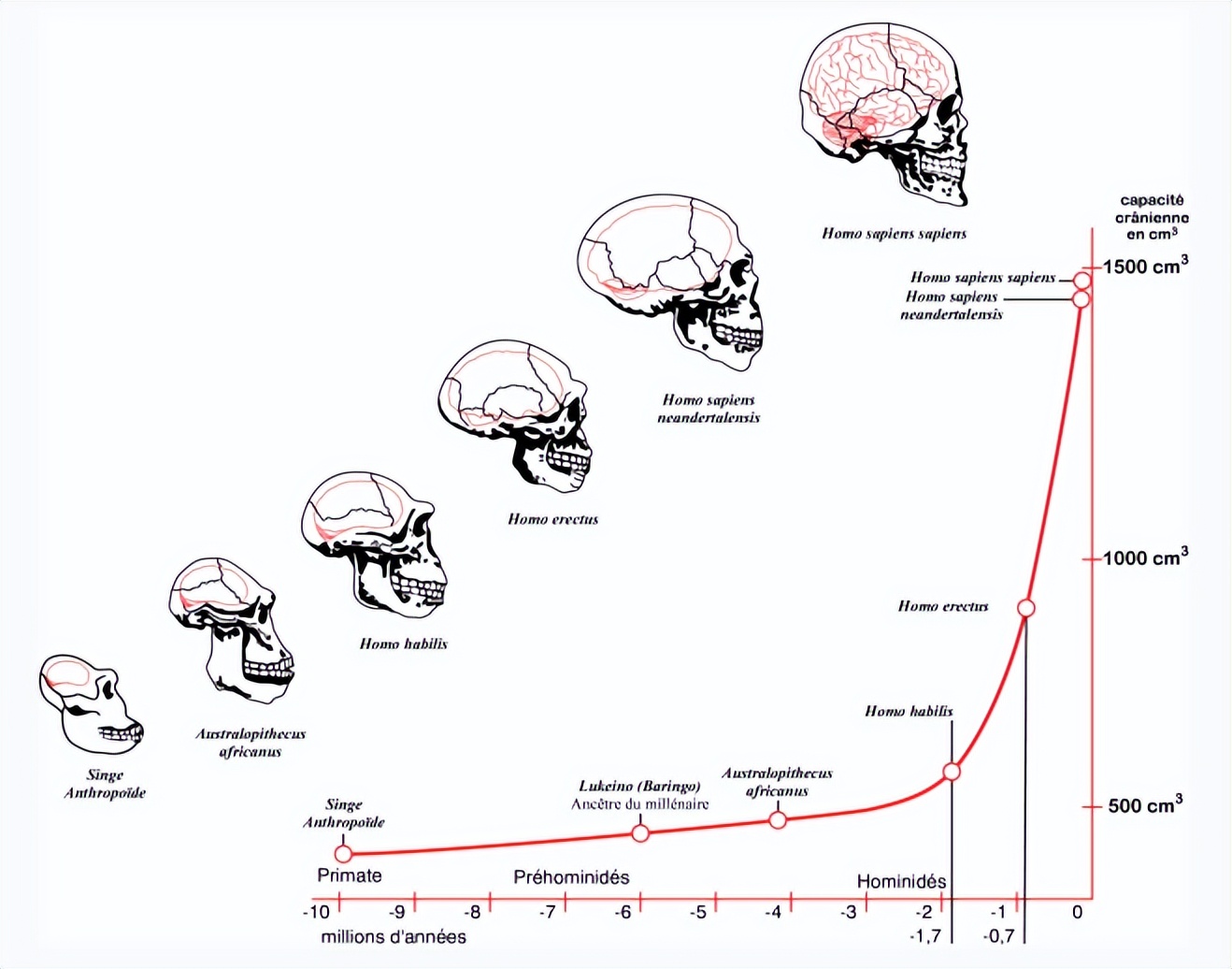 古代看面相的科学依据