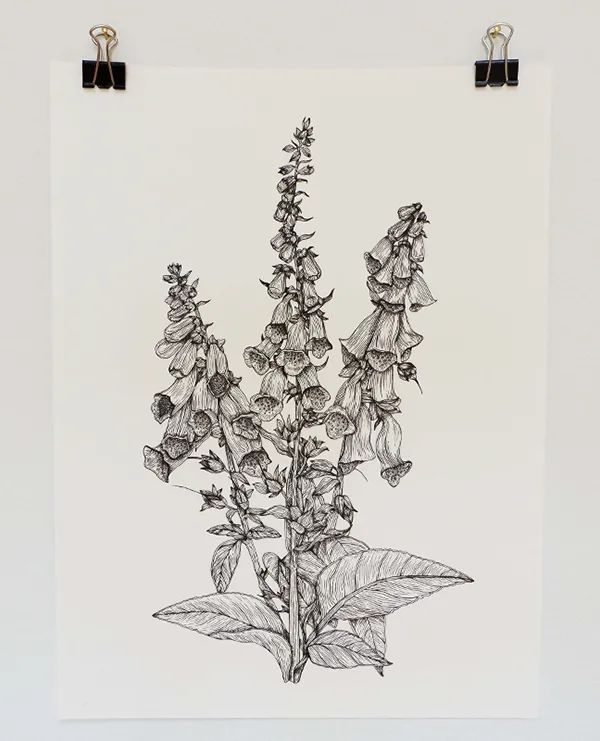 2021年帕森斯设计学院插画设计毕业展（BFA）