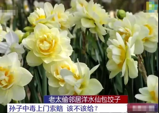 男子偷子挖器官获刑 涉嫌犯拐卖儿童罪等