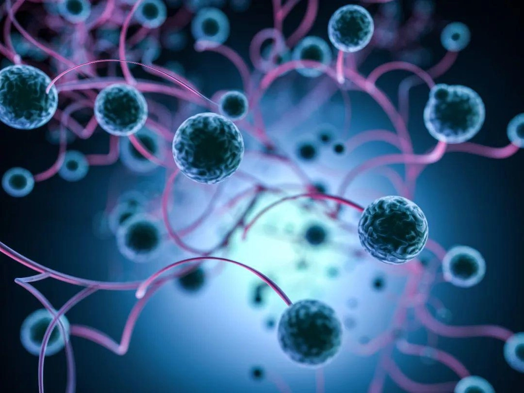 免疫力低、经常感冒、情绪差、掉发？或许你是缺乏维生素D了