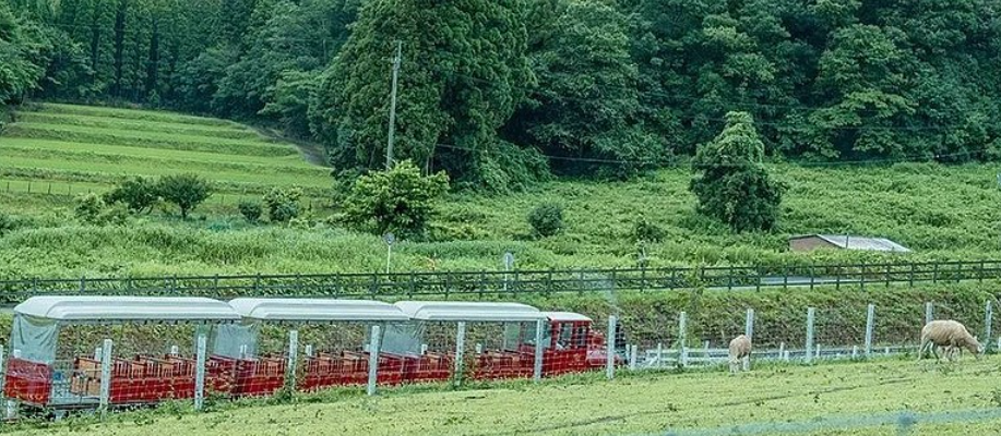 “她經濟”+文創引領旅游消費新趨勢