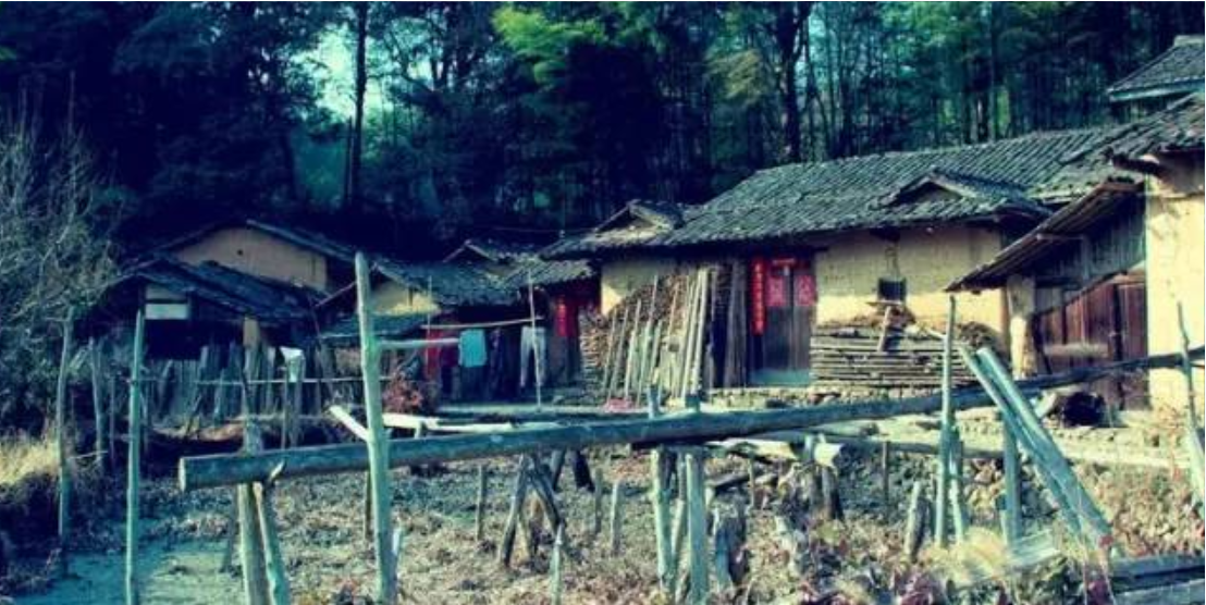 18年前，带着妹妹读大学，在学校捡破烂的21岁河南男孩，如今咋样