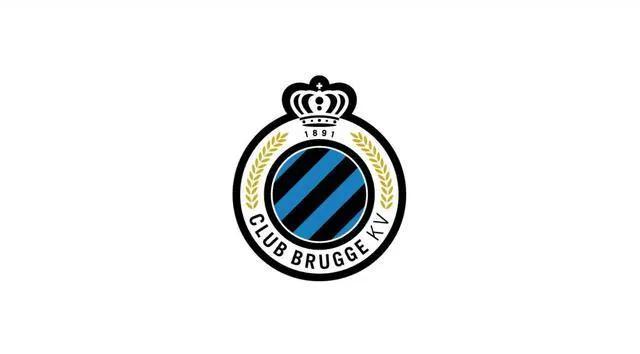 细数比利时主要俱乐部欧洲赛事荣誉