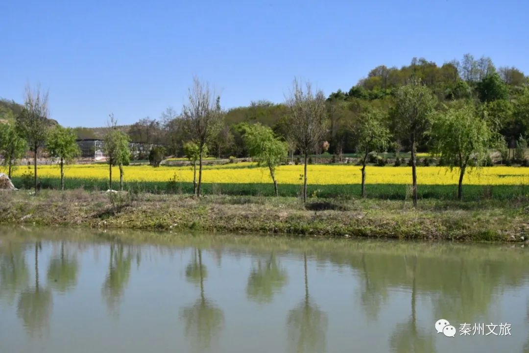 大美秦州五月天 田園風光似畫卷