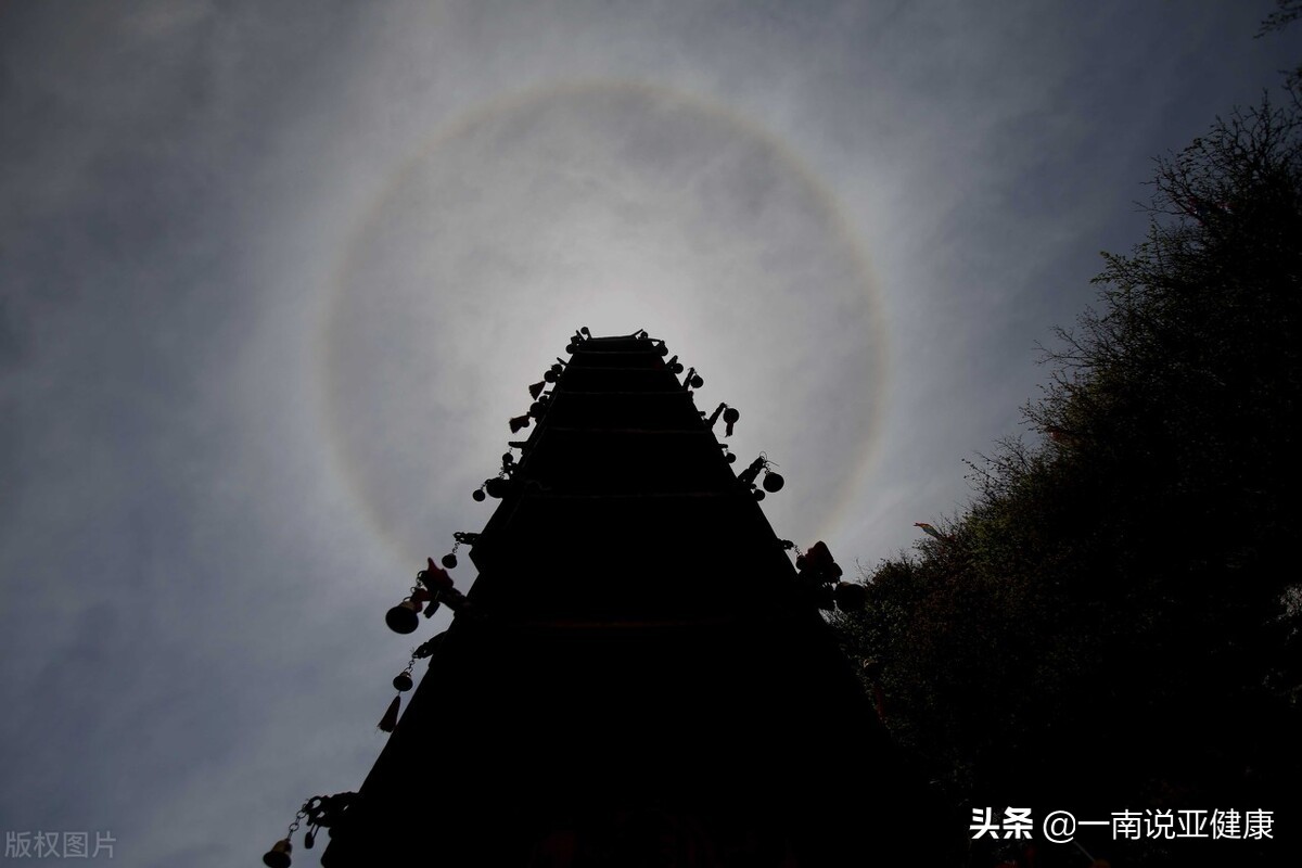 睡覺為第一大補（上），你知道嗎？