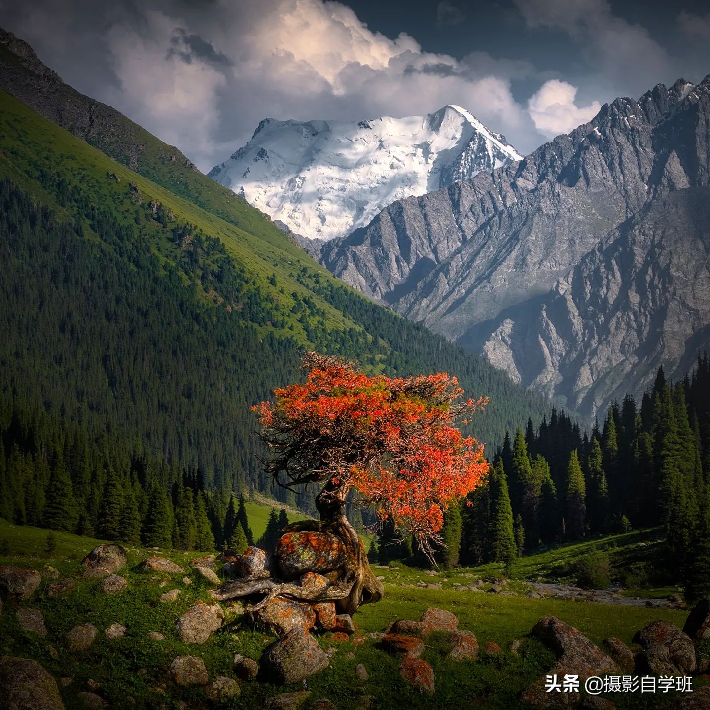 專業(yè)攝影師，這5個拍風光技巧，幫你把風景照片拍好看