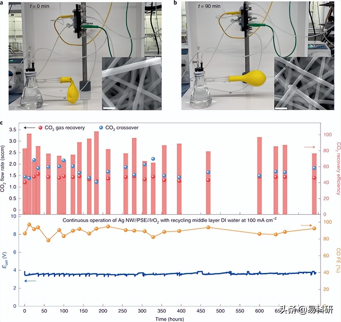 Nat. Catal. | 美国德克萨斯州休斯顿莱斯大学汪淏田研究成果