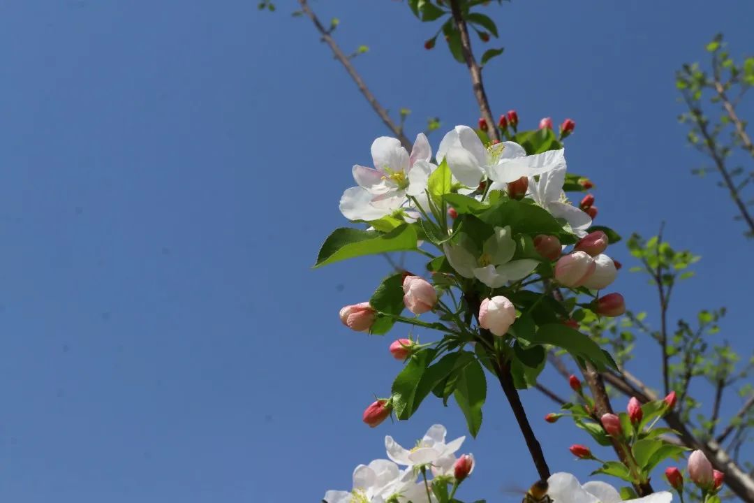 初夏未夏，抓住春天的尾巴~
