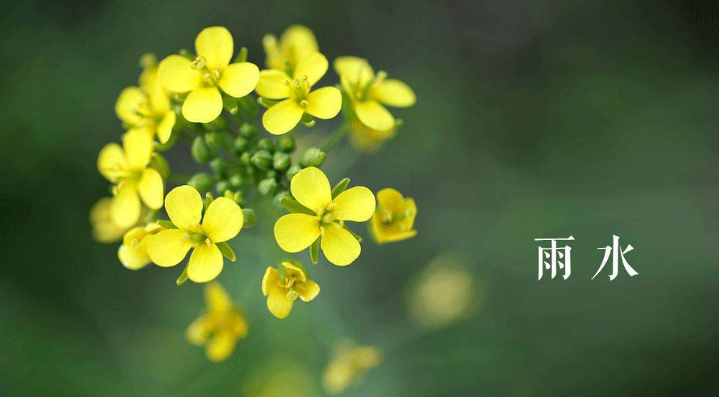 好雨知时节,当春乃发生,此时大地回暖,雨水润泽万物,天地间一派开春