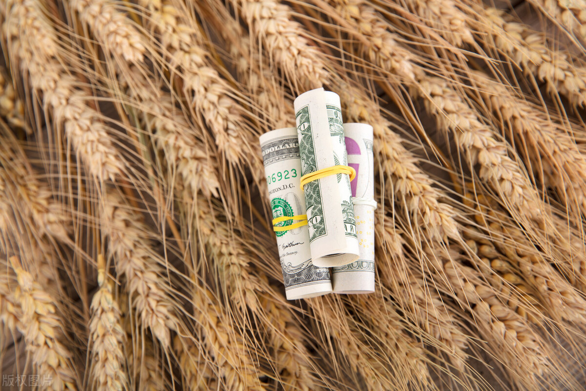小麦价格最高1.7元/斤，12月28日全国最新小麦价格行情