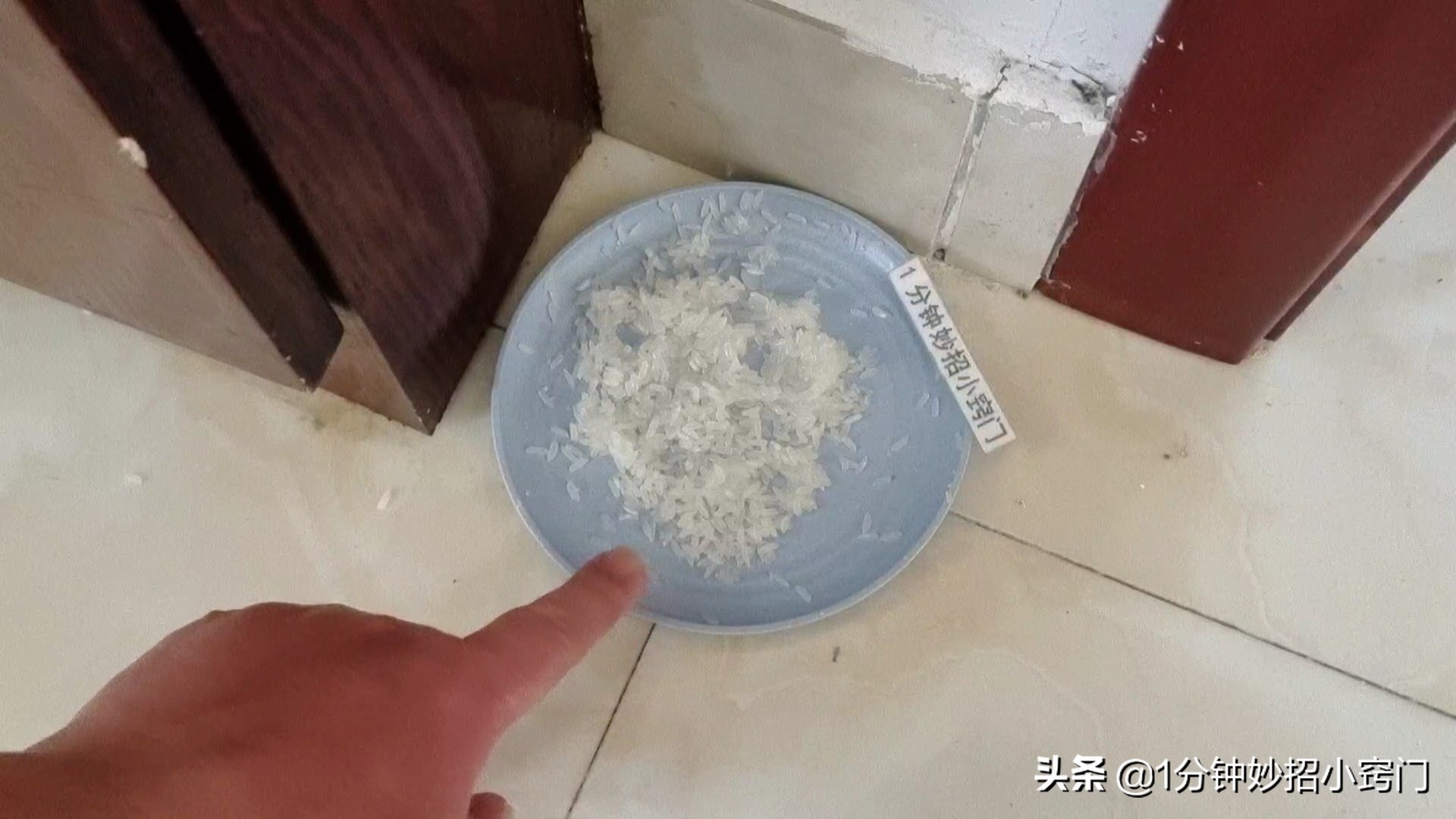 老鼠爱吃什么食物(家里老鼠太多别着急，只需两勺大米，老鼠来一只灭一只，简单实用)