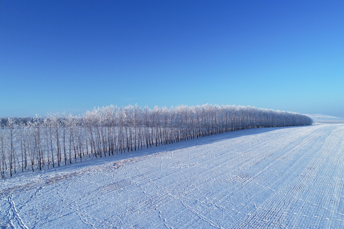 一场雪引起的思念之情