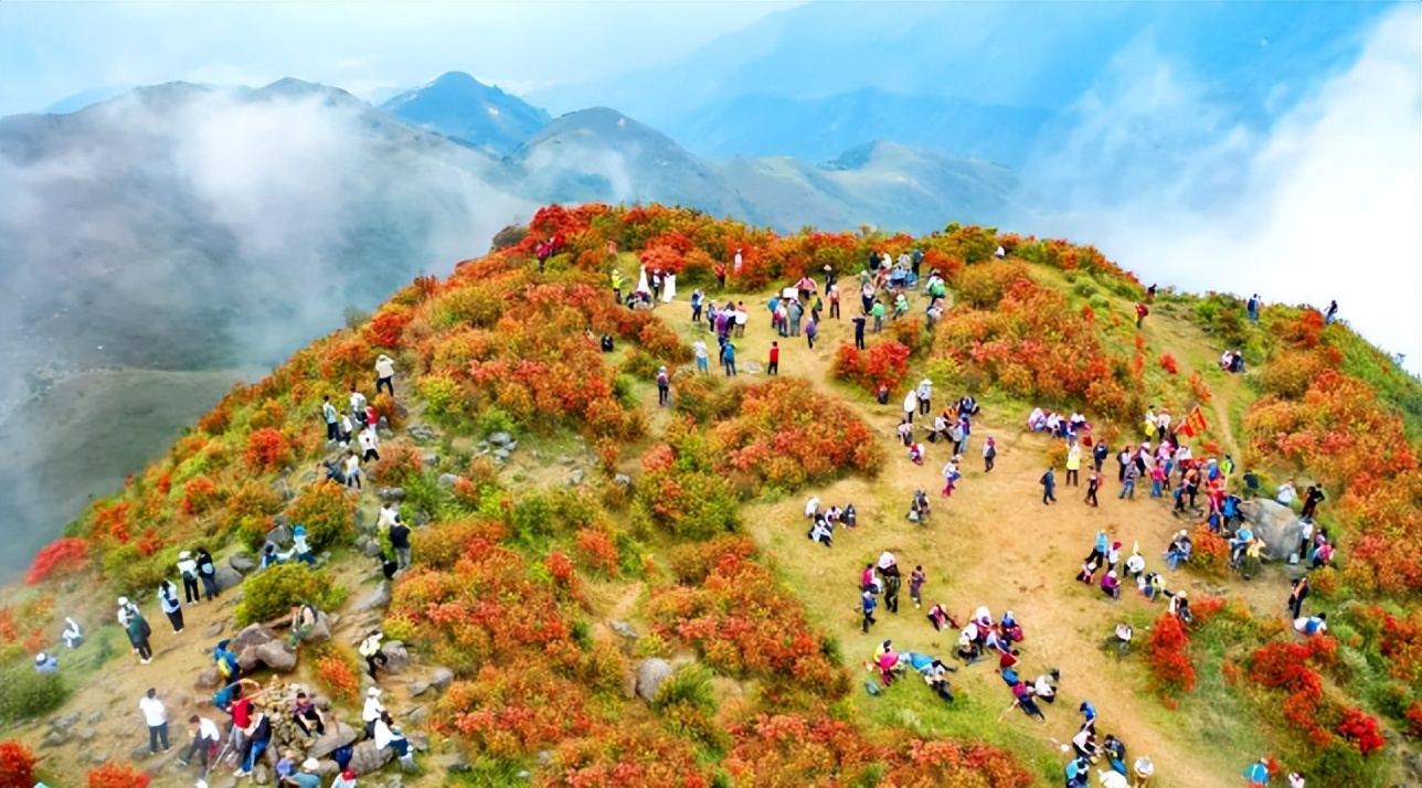 春暖花开相约天露山，游居于山间，邂逅最美的春景