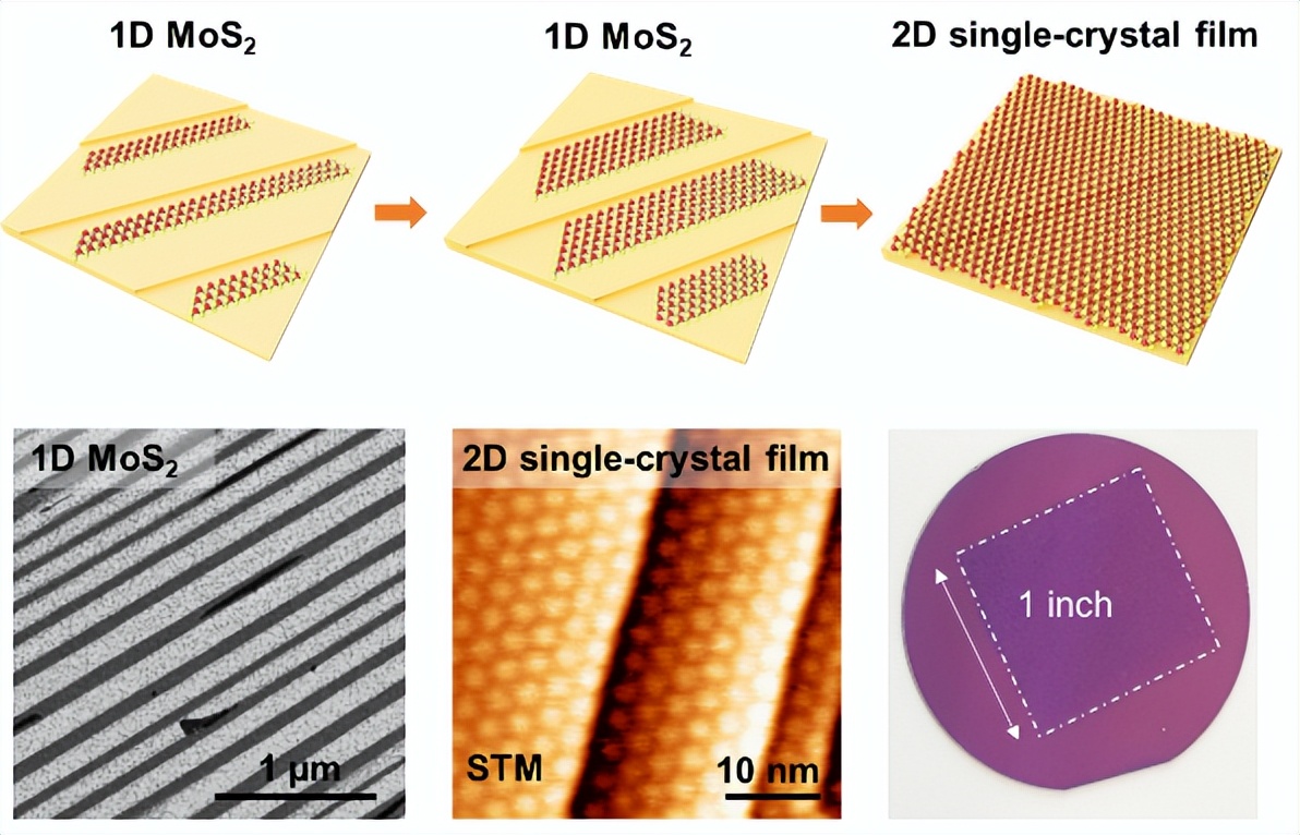 北大在单一取向MoS2条带阵列拼接制备单晶薄膜方面获新进展