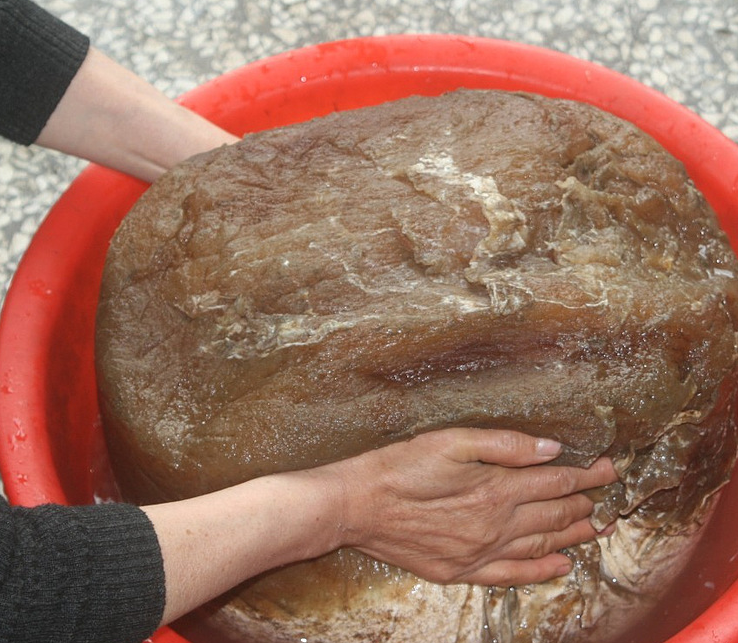 什么是太岁，不是植物不是动物的一坨“肉”，为什么能价值百万？