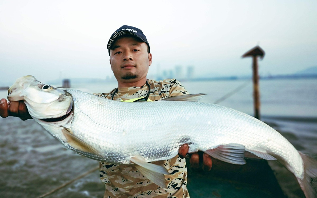邛海是生态渔业养殖区,管理人员每年会在邛海中投放几百万尾鱼苗,为了