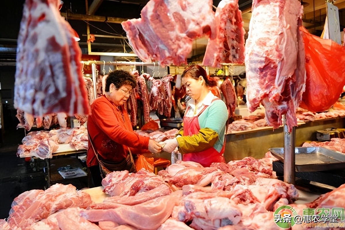 2023年猪肉行情价格及未来行情分析