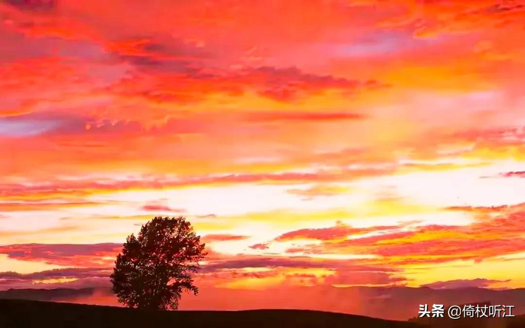 一缕阳光,一抹温暖,总在新年