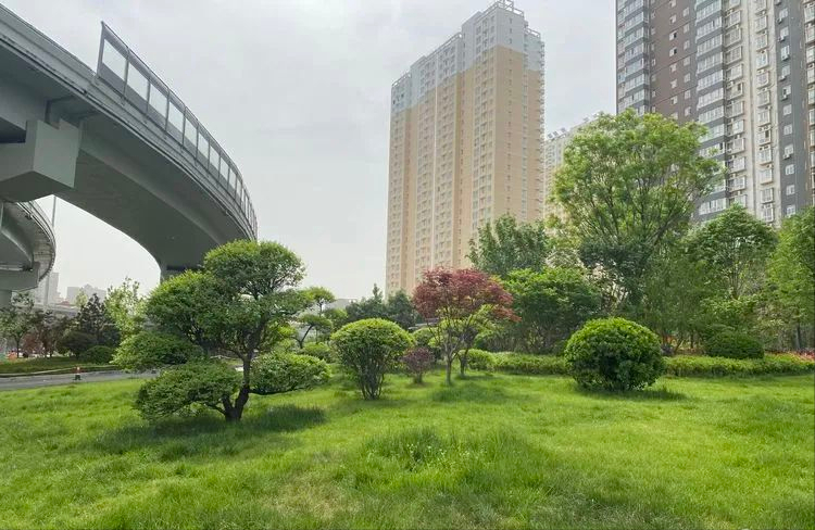 �����гǹֶܾ������鱮�������·�԰���̻���ϸ����������