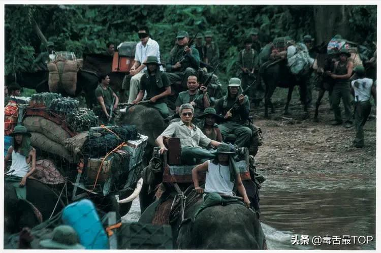 走进真实的罪恶!盘点五大真实犯罪事件改编电影,“部部”惊心