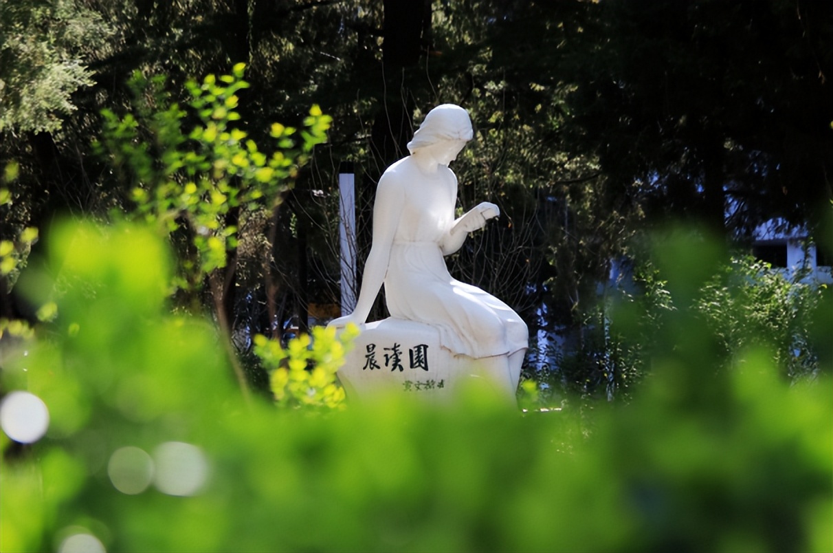 刚刚，北京高考分数线正式公布！附北京外国语大学近三年录取分数线！