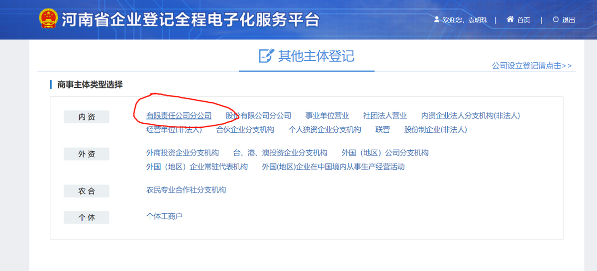 分公司线上注册流程（河南）
