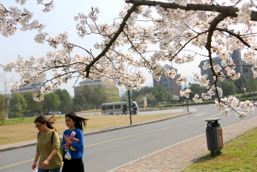 新一轮双一流评选，浙江工业大学希望渺茫，理由有两点